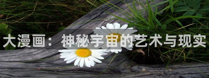 喵趣为什么打不开：大漫画：神秘宇宙的艺术与现实