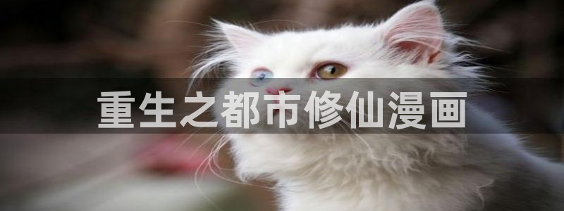 喵趣漫画复活：重生之都市修仙漫画